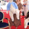 KimberleyWalsh_co_uk-066.jpg