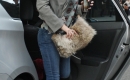 Filename=032.jpg
Filesize=1438KiB
Dimensions=1276x2048
Date added=Oct 28, 2013 032.jpg