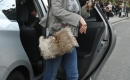 Filename=035.jpg
Filesize=1439KiB
Dimensions=1333x2048
Date added=Oct 28, 2013 035.jpg