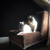 galleryaloud_com331.jpg