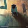 galleryaloud_com038.mp4