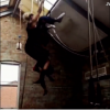 galleryaloud_com055.mp4