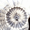 Filename=GalleryAloud-188.jpg
Filesize=751KiB
Dimensions=3840x2160
Date added=Aug 17, 2024 GalleryAloud-188.jpg