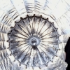 Filename=GalleryAloud-212.jpg
Filesize=734KiB
Dimensions=3840x2160
Date added=Aug 17, 2024 GalleryAloud-212.jpg