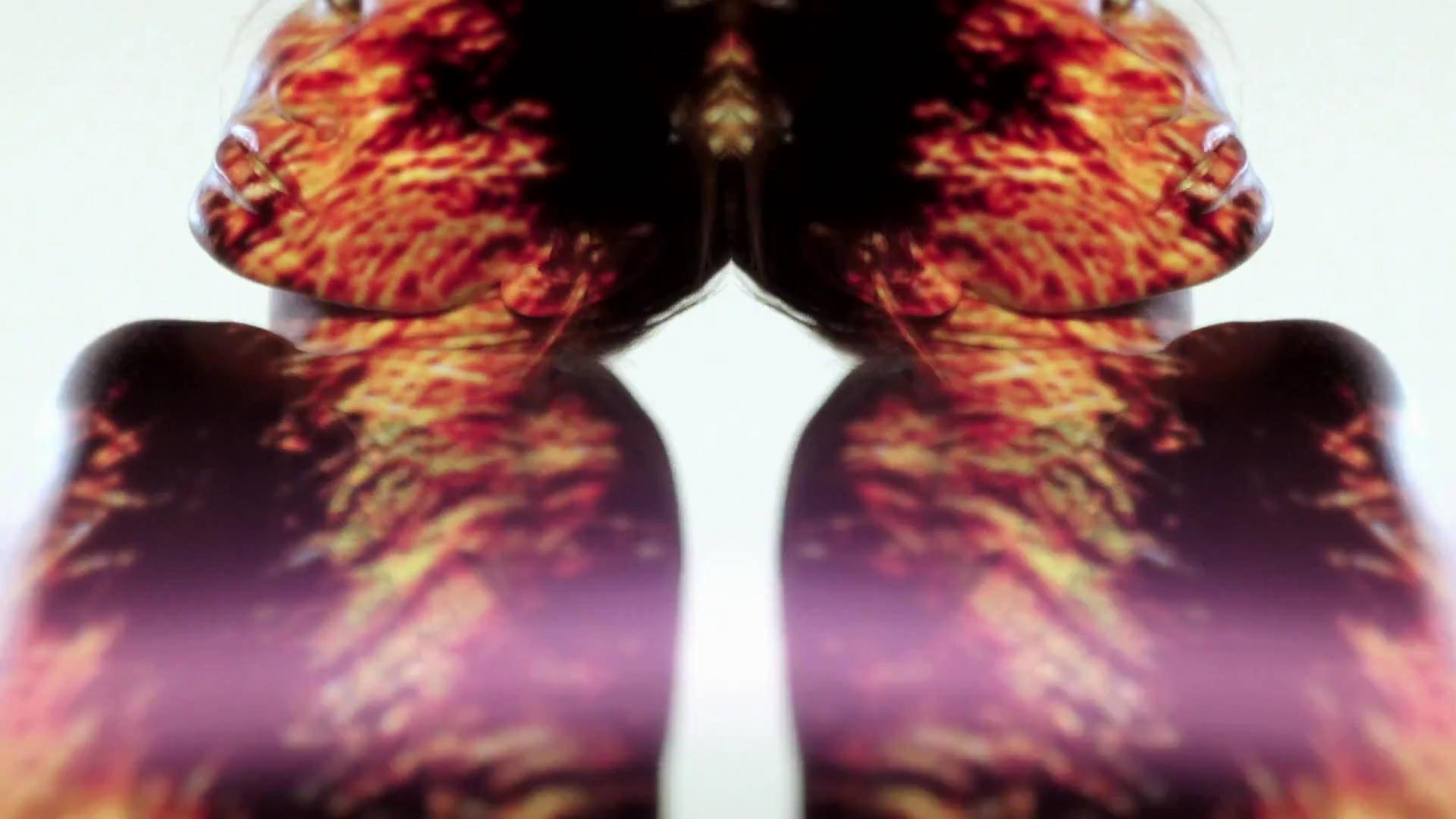 126.jpg