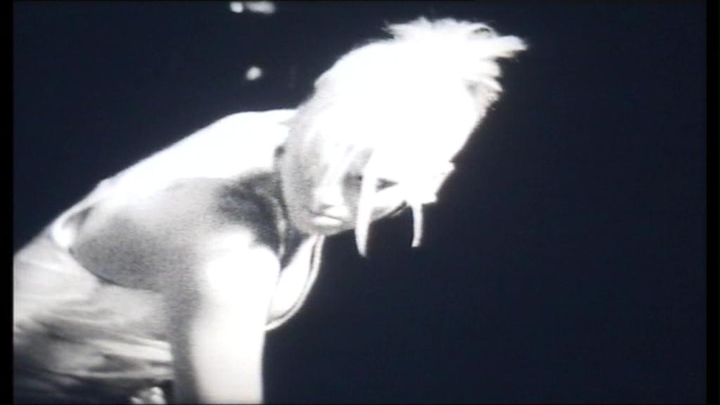 195.jpg