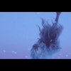 Cheryl_Debut_Fragrance_-_StormFlower_TV_advert_mp4_snapshot_00_11_5B2016_05_06_13_12_545D.jpg