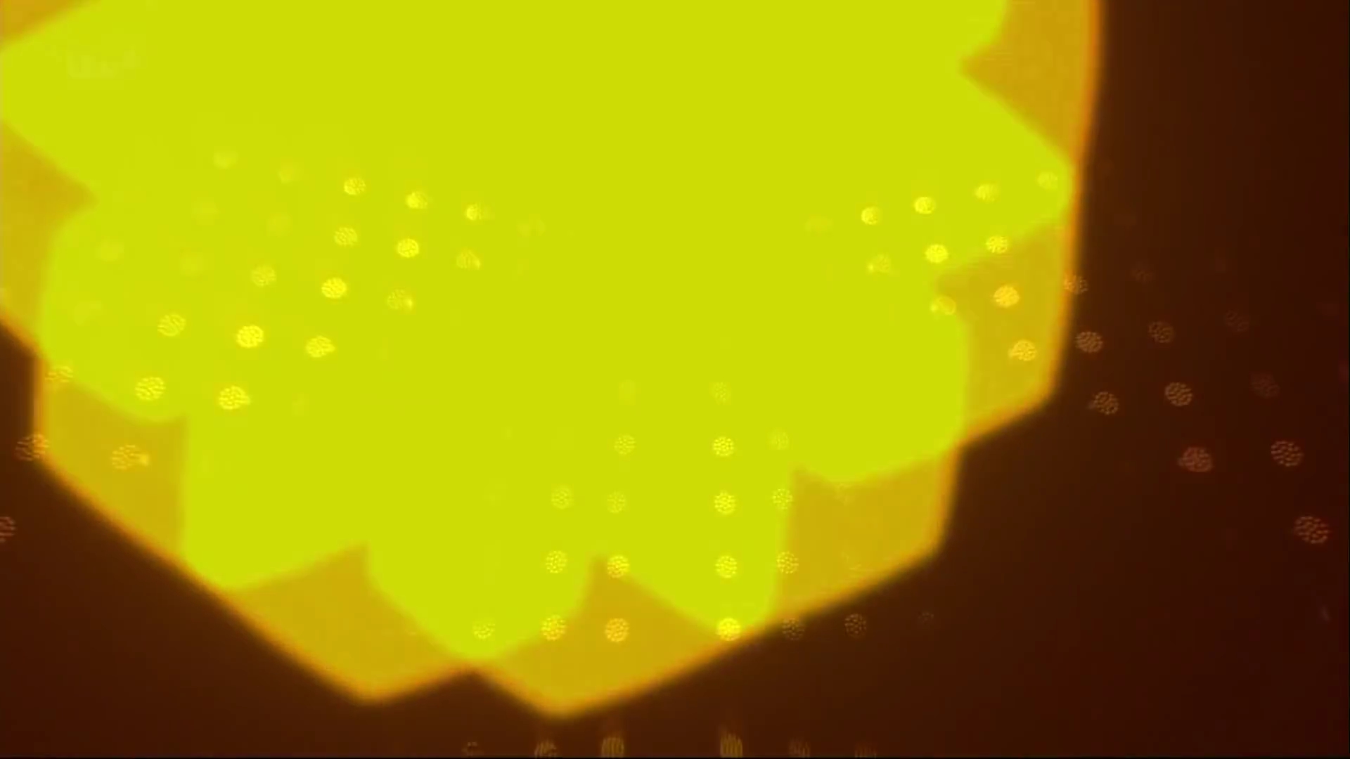 2858103977529.jpg