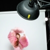Filename=001.jpg
Filesize=277KiB
Dimensions=1440x1440
Date added=Aug 28, 2024 001.jpg