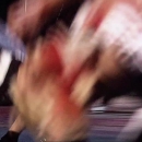 484.jpg