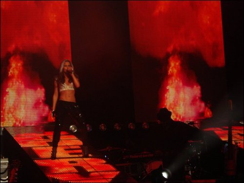 credit HarryBushe
